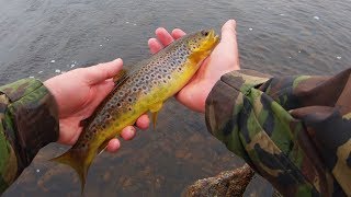 A day of wild brown trout fishing on the remote hebridean isle lewis -
join me for cold and wet fly in lochs ...