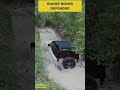 All You Need to Know About the 2025 Range Rover Defender 110,2025 Range Rover Defender 110