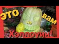 Поделки из тыквы своими руками. Готовимся к празднику- дню тыквы !