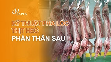 Kỹ thuật pha lóc thị theo phần thân sau #japfa #japfavietnam #japfafood #phaloc