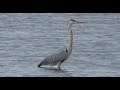 Гилевский водопад