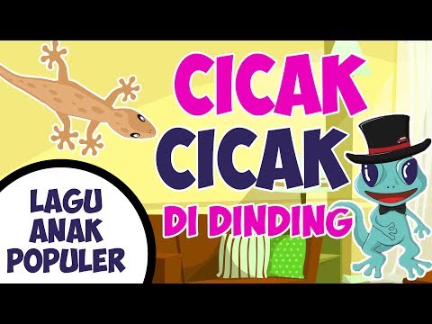 Cicak Cicak Di Dinding - Lagu Anak Indonesia Populer Versi Baru 2019