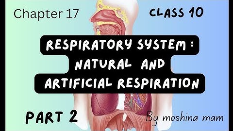 Home science chapter 17 part 2