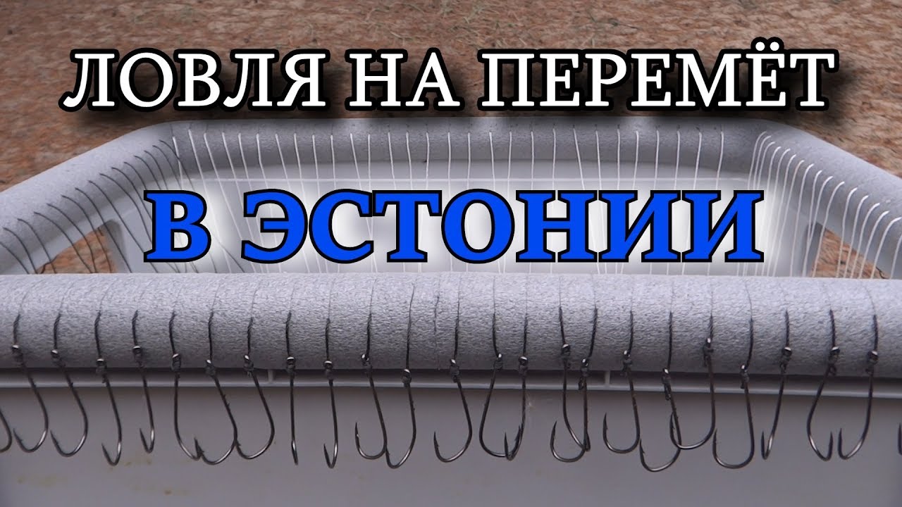 ЛОВЛЯ ПЕРЕМЁТОМ В ЭСТОНИИ ♦ ÕNGEJADAGA PÜÜK EESTIS ♦ PITKÄSIIMA KALASTUS