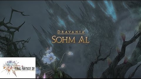 FFXIV - Sohm Al - Dravania - 20 June 2015 - Patch 3.0 - White Mage POV