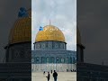 أنا عربي عربي بدون موسيقى لايك اشتراك تصميمي فاطمة الداعية إلى الجنة