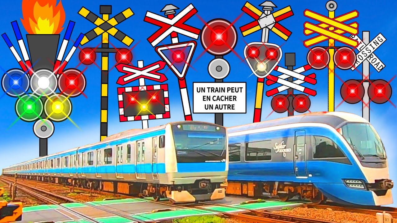 【電車】踏切 アニメ【鉄道 ふみきり】Train & Railroad crossing サフィール踊り子 京浜東北線