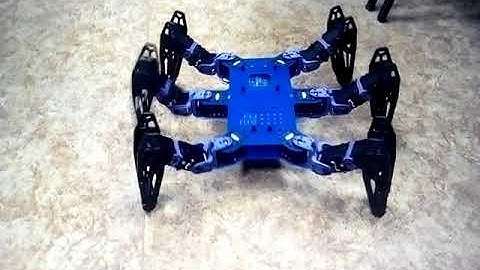 [FEI STU]: Hexapod robot training