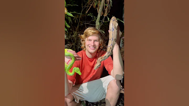 Exploring the Amazon rainforest! #wildlife#snake#animals#crazy#nature#jungle#survival#shorts#viral thumbnail