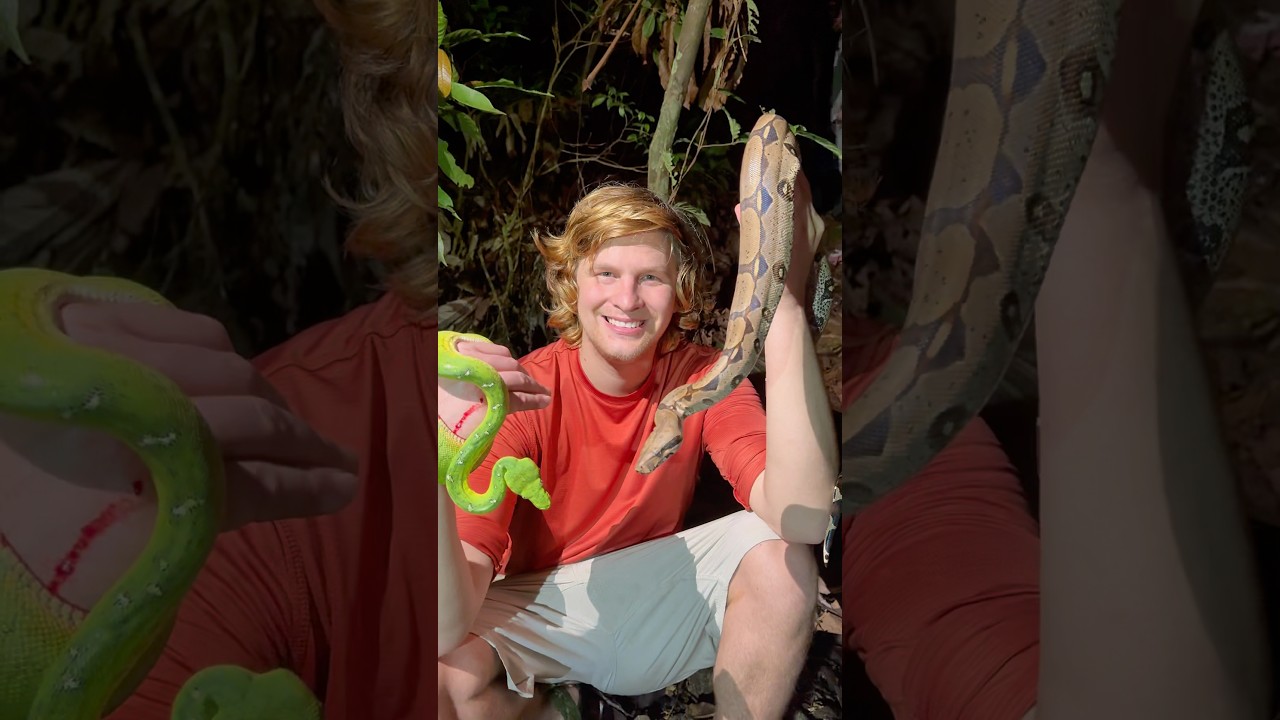 Exploring the Amazon rainforest! #wildlife#snake#animals#crazy#nature#jungle#survival#shorts#viral