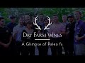 A glimpse of dry farm wines at paleo fx 2018