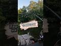 Первый заброс на малой реке #fishing  #new #рыбалка #norstream #окунь #спиннинг #spin