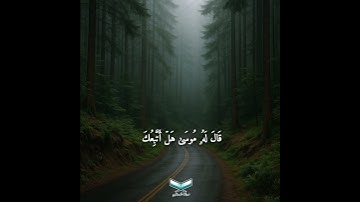 قَالَ ذَ ٰ⁠لِكَ مَا كُنَّا نَبۡغِۚ || #تلاوة جمالية للشيخ #ماهر_المعيقلي #الصراط_المستقيم