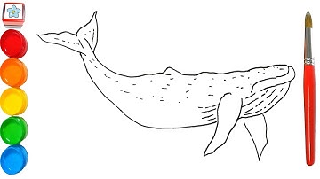 Vẽ con vật #101: Vẽ Cá voi lưng gù | How to draw a Humpback whale