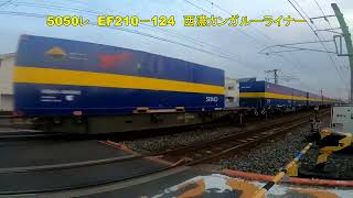 西濃カンガルーライナー　5050レ　EF210－124　5051レ　EF210－135　6月22日