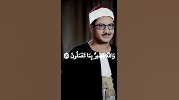 والله بصير بما تعملون | محمد صديق المنشاوي | ما تيسر من سوره الحجرات و ق