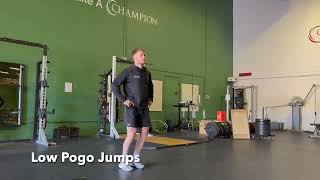 Low Pogo Jumps