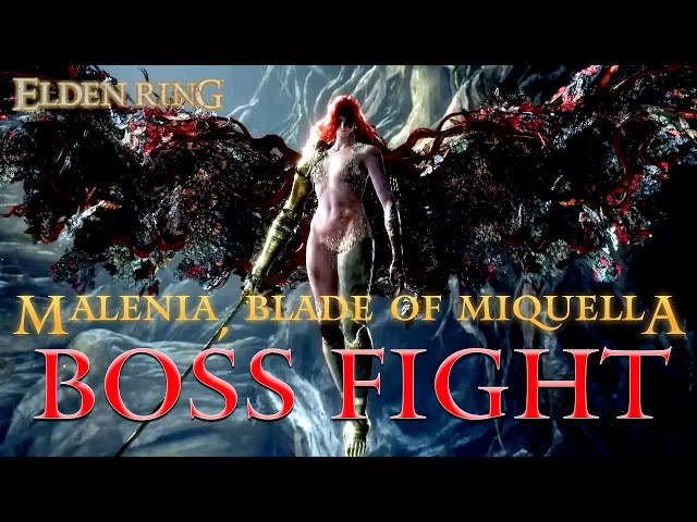 Basically, Let me solo her is Malenia's boss fight : r/Eldenring