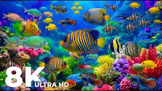 Best 8K Ocean Aquarium | Vibrant Deep Ocean Creatures & Calming Ocean Sound