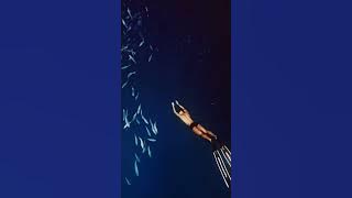 Kembalilah - STAFA BAND