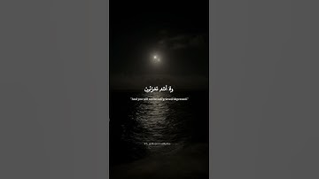 يَـٰعِبَادِ لَا خَوْفٌ عَلَيْكُمُ ٱلْيَوْمَ | محمد صديق المنشاوي | سورة الزخرف