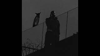 (FREE) Drake Iceman Type Beat "Make Them Pay"