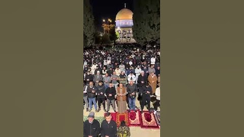 تلاوة من صلاة التراويح من المسجد الاقصى المبارك للشيخ معروف رشاد الشريف ♥️