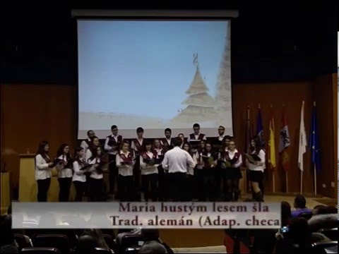 Concierto de Navidad.