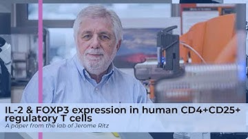 IL-2 regulates FOXP3 expression in human CD4+CD25+ regulatory T cells