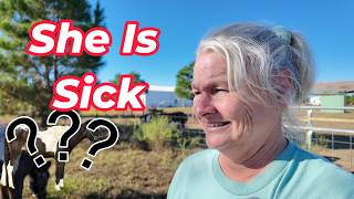 This Animal Changed My Life || She is Very Sick