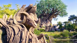 ASMR Video: Disney’s Animal Kingdom Theme Park Earth Month 2021 Sights and Sounds at Disney World