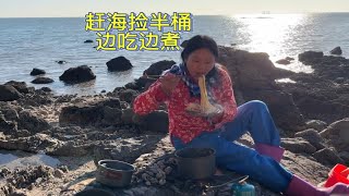 农村人去赶海赚大了，捡半桶海鲜边吃边煮，吹着海风吃真够味