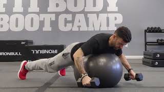 Stability Ball DB Rear Delt Fly