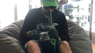 Red Eye Tek “Color changing Zong” purchase on 4:20 @Xpressjunction