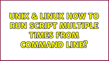 Unix & Linux: How to run script multiple times from command line?