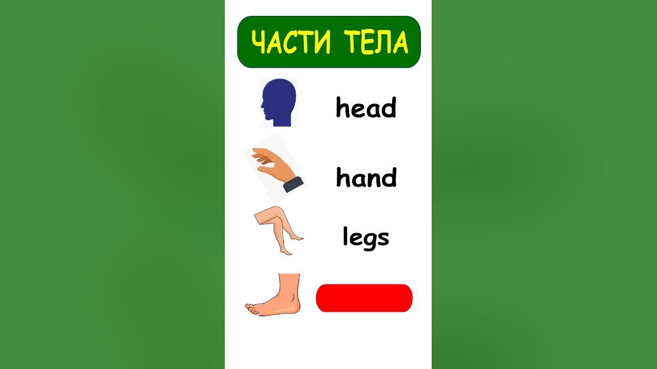 Английский язык // Части тела // Body - YouTube