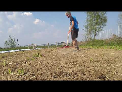 Video: Coltivatore - Per Aiutare Il Residente Estivo