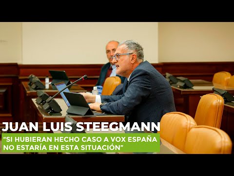 Steegmann al ministro Illa: "Si hubieran hecho caso a VOX España no estaría en esta situación"