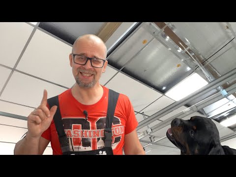 Необычный потолок в гараже мечты! Тепло и светло! СТРОИМ ДЛЯ СЕБЯ