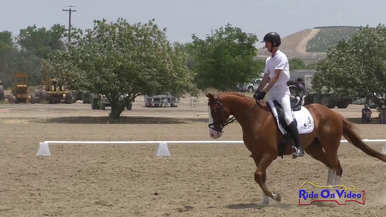 horseshoe bend 148D James Alliston on Currency Exchange Open Novice Dressage Twin Rivers Ranch July 2019
