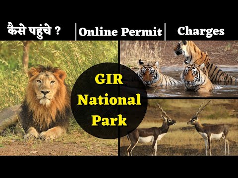 Vidéo: Parc national de Gir : le guide complet