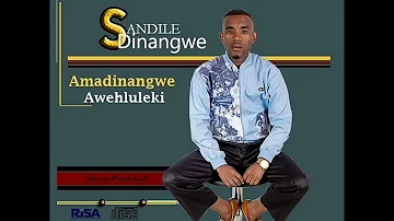 Sandile Dinangwe 2021 - Uzosinda