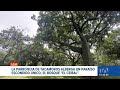 #ENVIVO | Noticiero de Ecuador, Emisión Central