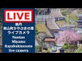 2026/05/23 【LIVE CAMERA】#南丹市 #美山かやぶきの里 #ライブカメラ #livecamera #nantan #miyama #thatchedvillage #美山