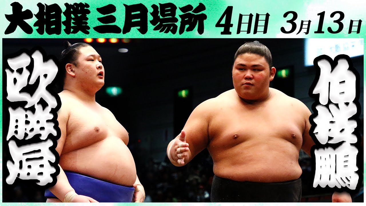 ■相撲■腰紐■大鵬 □相撲□腰紐□大鵬