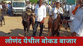 लोणंद येथील बोकड बाजार||28 May 2026 #viralvideo #farming #goat #goatfarm #eid #trendingvideo 