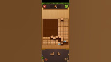 Daily block jigsaw puzzle game(4)