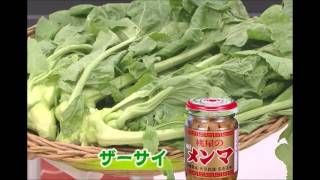 ざーさいめんまのうた