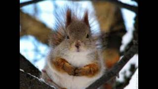 Sylwia Grzeszczak-Małe rzeczy REMIX