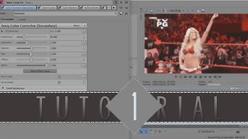 Sony Vegas Tutorial | How To Save A Coloring